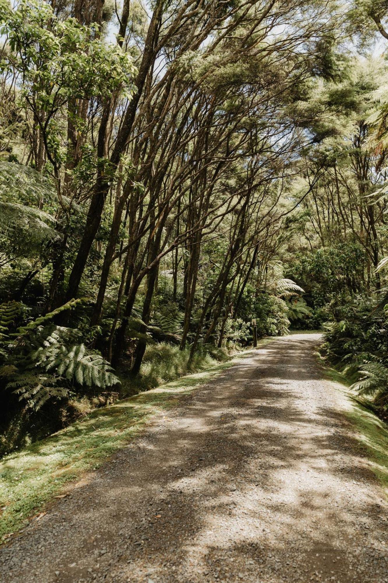 Buffalo Lodge Coromandel Dış mekan fotoğraf