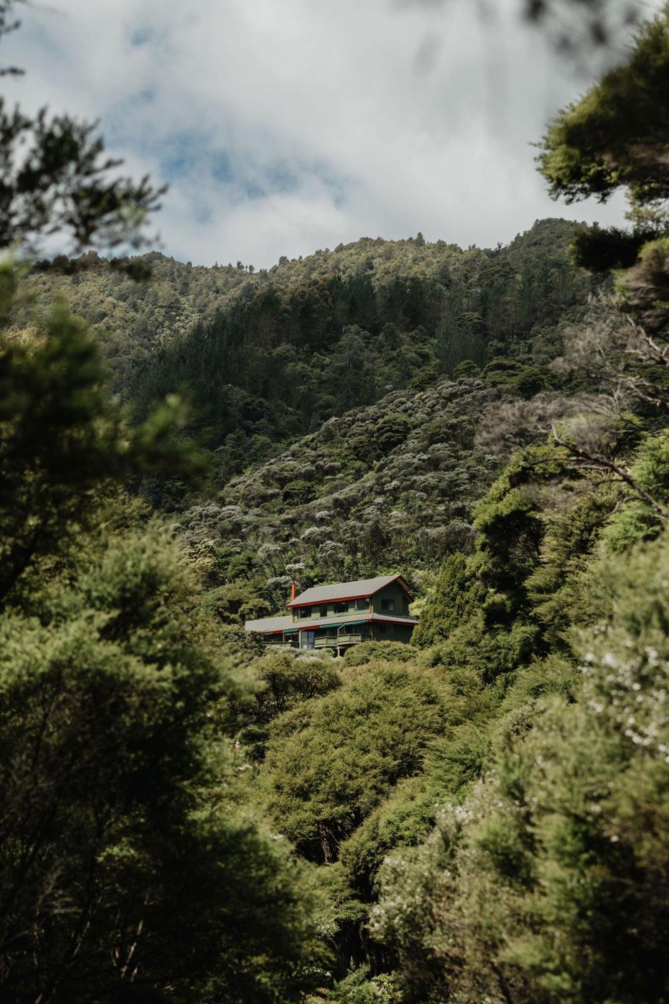 Buffalo Lodge Coromandel Dış mekan fotoğraf