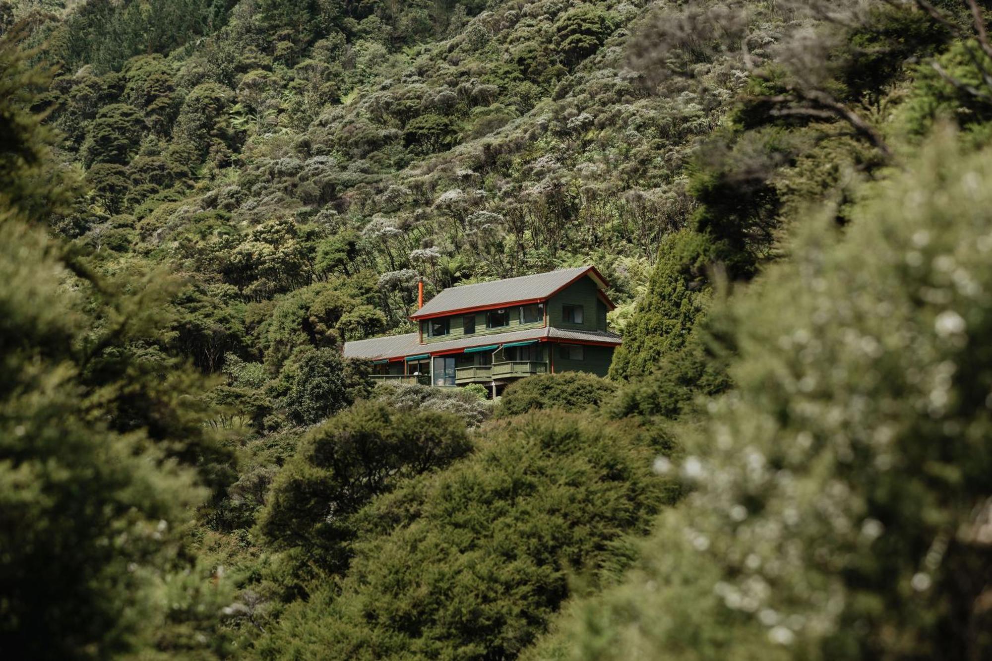 Buffalo Lodge Coromandel Dış mekan fotoğraf